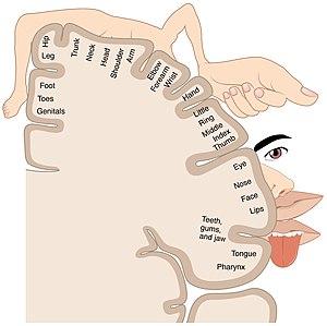 thumbnail of dbpedia resource