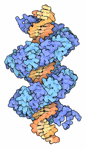 thumbnail of dbpedia resource