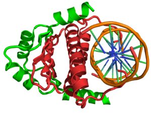 thumbnail of dbpedia resource