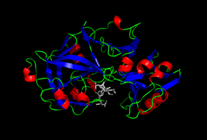 thumbnail of dbpedia resource