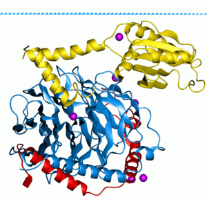 thumbnail of dbpedia resource