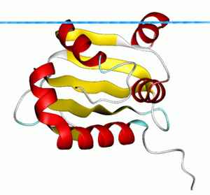 thumbnail of dbpedia resource