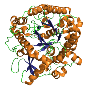 thumbnail of dbpedia resource