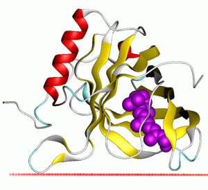 thumbnail of dbpedia resource