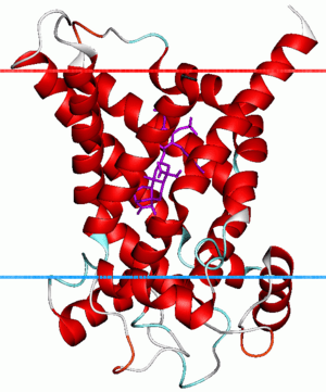 thumbnail of dbpedia resource