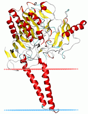 thumbnail of dbpedia resource