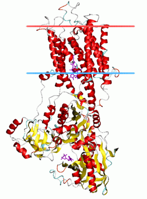 thumbnail of dbpedia resource