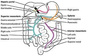 thumbnail of dbpedia resource