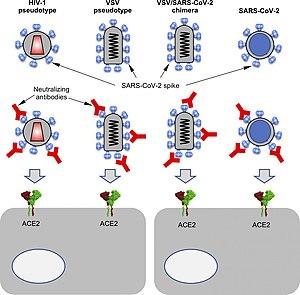 thumbnail of dbpedia resource