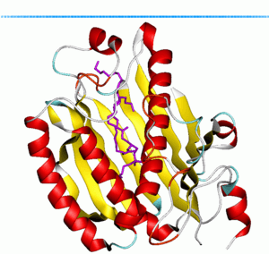 thumbnail of dbpedia resource