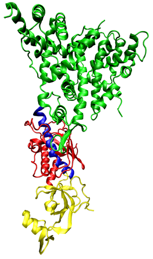 thumbnail of dbpedia resource