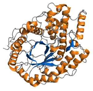 thumbnail of dbpedia resource