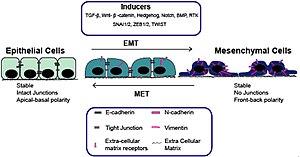 thumbnail of dbpedia resource