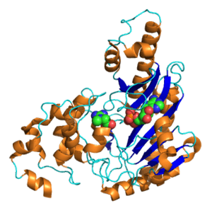 thumbnail of dbpedia resource