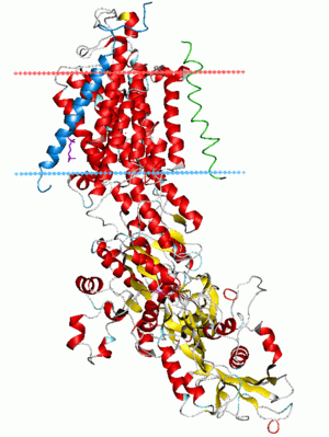 thumbnail of dbpedia resource