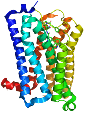 thumbnail of dbpedia resource