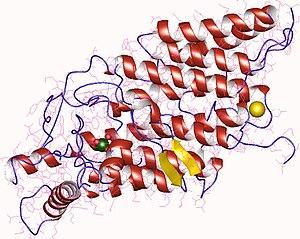 thumbnail of dbpedia resource