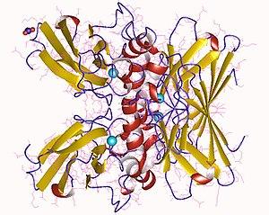 thumbnail of dbpedia resource