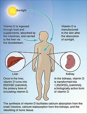 thumbnail of dbpedia resource