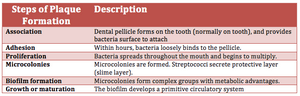 thumbnail of dbpedia resource