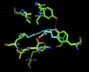 thumbnail of dbpedia resource