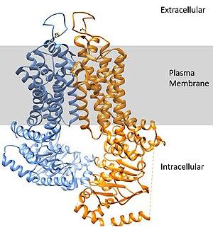 thumbnail of dbpedia resource