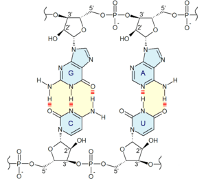 thumbnail of dbpedia resource