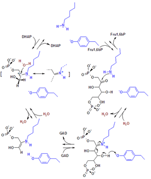 thumbnail of dbpedia resource