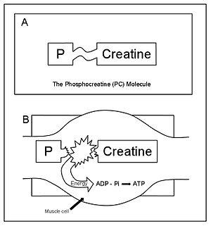 thumbnail of dbpedia resource