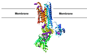 thumbnail of dbpedia resource