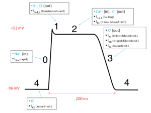 thumbnail of dbpedia resource