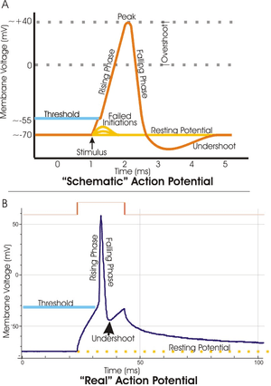 thumbnail of dbpedia resource