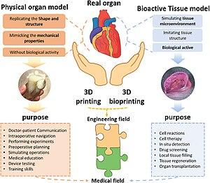 thumbnail of dbpedia resource