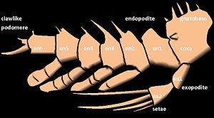 thumbnail of dbpedia resource