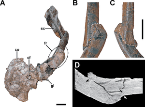 thumbnail of dbpedia resource