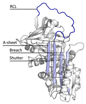 thumbnail of dbpedia resource