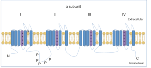 thumbnail of dbpedia resource