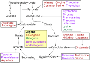 thumbnail of dbpedia resource