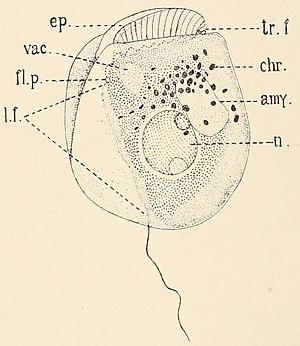 thumbnail of dbpedia resource