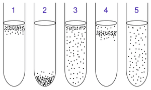 thumbnail of dbpedia resource