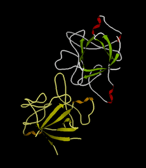 thumbnail of dbpedia resource