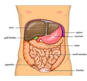 thumbnail of dbpedia resource