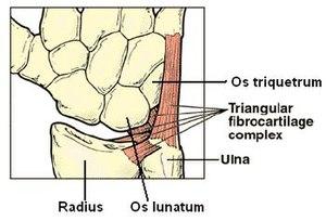 thumbnail of dbpedia resource