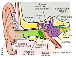 thumbnail of dbpedia resource