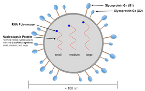 thumbnail of dbpedia resource