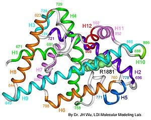 thumbnail of dbpedia resource