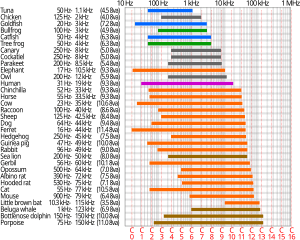 thumbnail of dbpedia resource