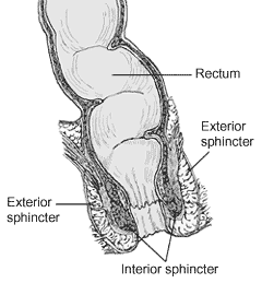 thumbnail of dbpedia resource