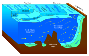 thumbnail of dbpedia resource