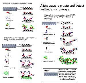 thumbnail of dbpedia resource